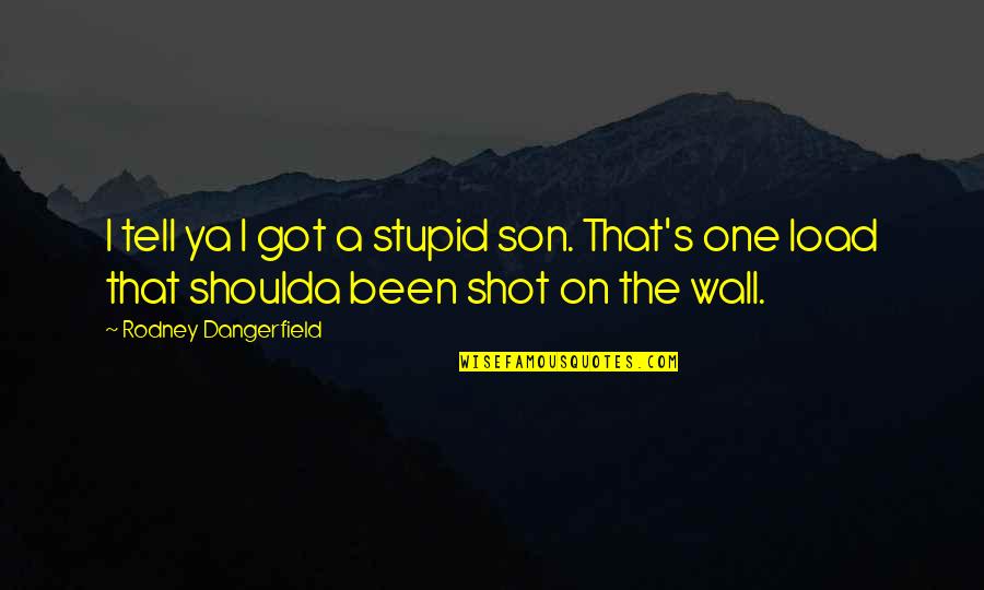 Got Wall Quotes By Rodney Dangerfield: I tell ya I got a stupid son.