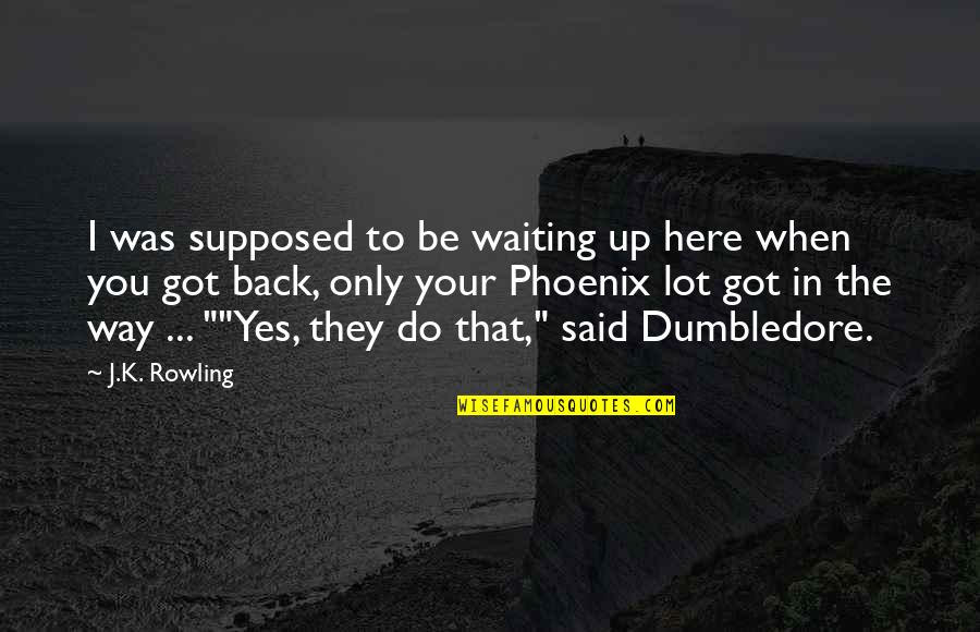 Got Your Back Quotes By J.K. Rowling: I was supposed to be waiting up here