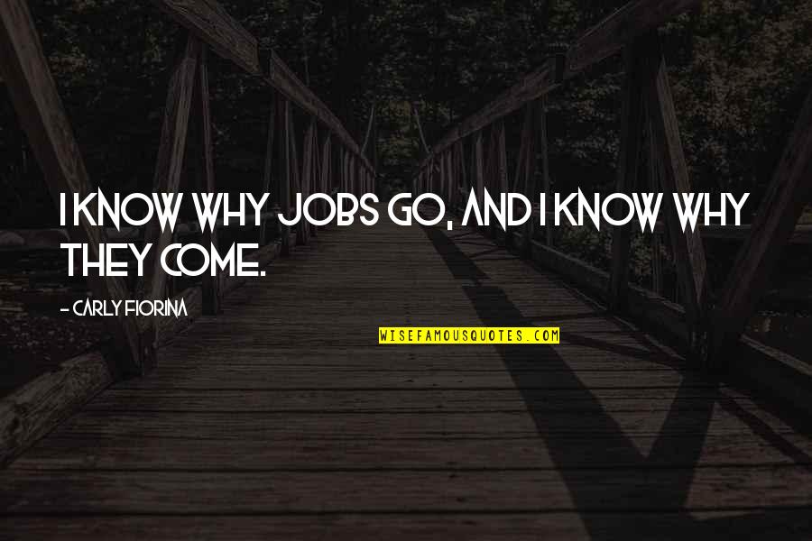 Gotas Oticas Quotes By Carly Fiorina: I know why jobs go, and I know