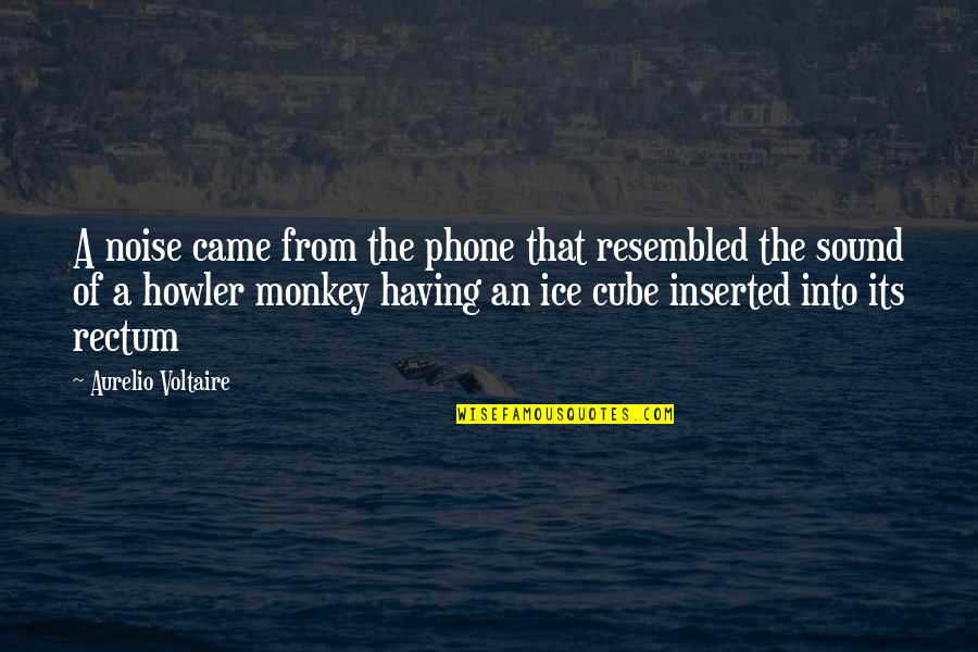 Gothic Font Quotes By Aurelio Voltaire: A noise came from the phone that resembled