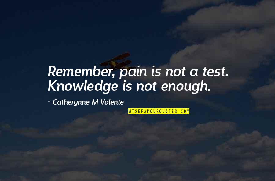 Gott Quotes By Catherynne M Valente: Remember, pain is not a test. Knowledge is