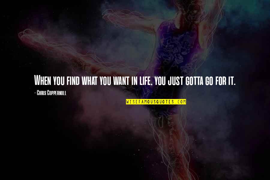 Gotta Find You Quotes By Chris Coppernoll: When you find what you want in life,