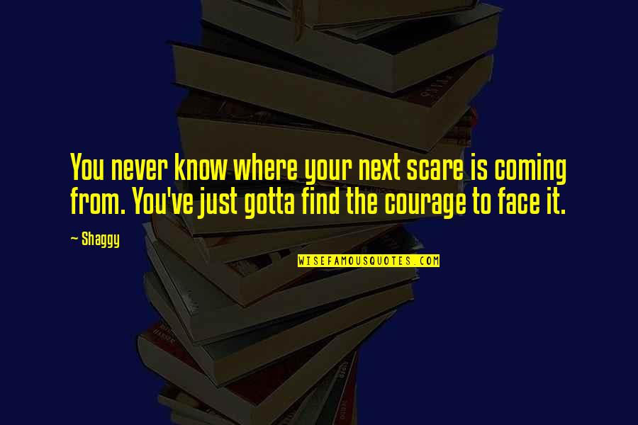 Gotta Find You Quotes By Shaggy: You never know where your next scare is Gotta Find You Quotes By Shaggy: You never know where your next scare is