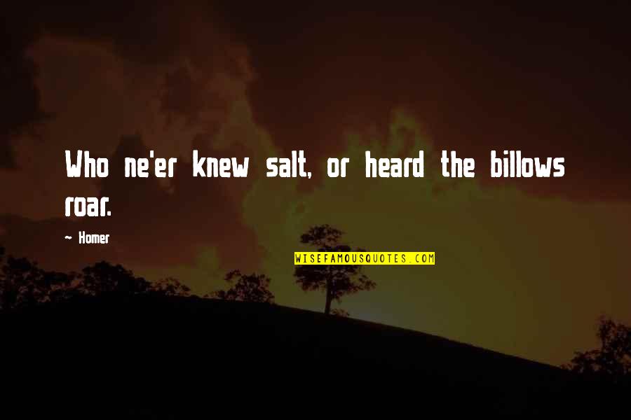 Gottem Quotes By Homer: Who ne'er knew salt, or heard the billows