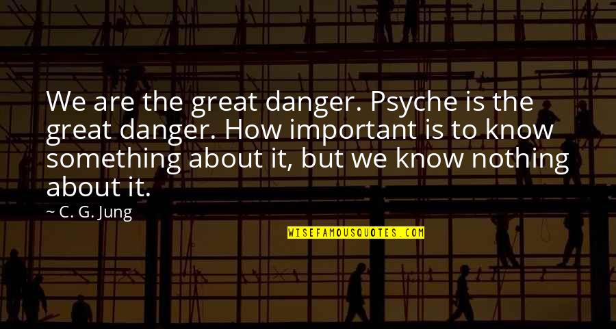 Goudey Roy Quotes By C. G. Jung: We are the great danger. Psyche is the Goudey Roy Quotes By C. G. Jung: We are the great danger. Psyche is the