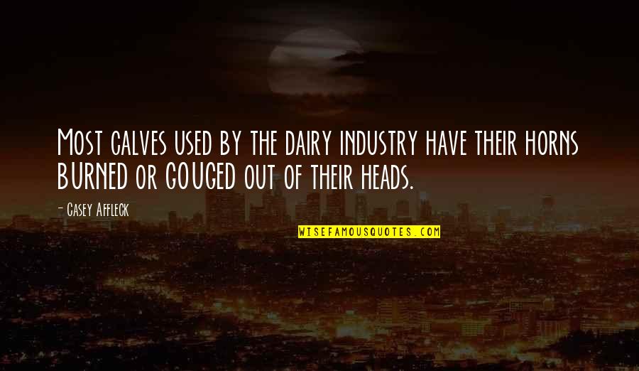 Gouged Quotes By Casey Affleck: Most calves used by the dairy industry have Gouged Quotes By Casey Affleck: Most calves used by the dairy industry have