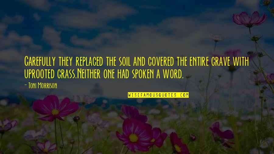Goumara Quotes By Toni Morrison: Carefully they replaced the soil and covered the Goumara Quotes By Toni Morrison: Carefully they replaced the soil and covered the