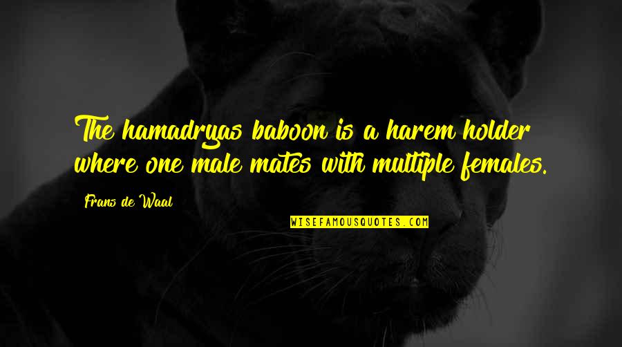 Goussainville Quotes By Frans De Waal: The hamadryas baboon is a harem holder where