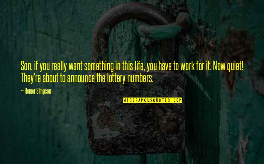Gouttes Ophtalmique Quotes By Homer Simpson: Son, if you really want something in this Gouttes Ophtalmique Quotes By Homer Simpson: Son, if you really want something in this