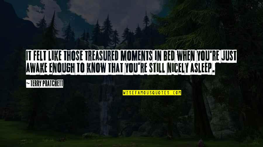 Gouvion Vineyard Quotes By Terry Pratchett: It felt like those treasured moments in bed Gouvion Vineyard Quotes By Terry Pratchett: It felt like those treasured moments in bed