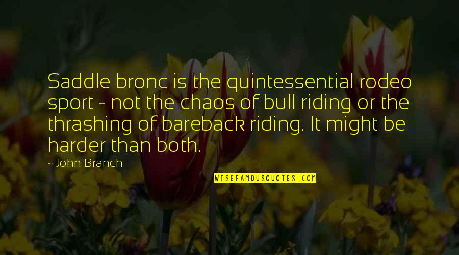 Governator Bobblehead Quotes By John Branch: Saddle bronc is the quintessential rodeo sport -
