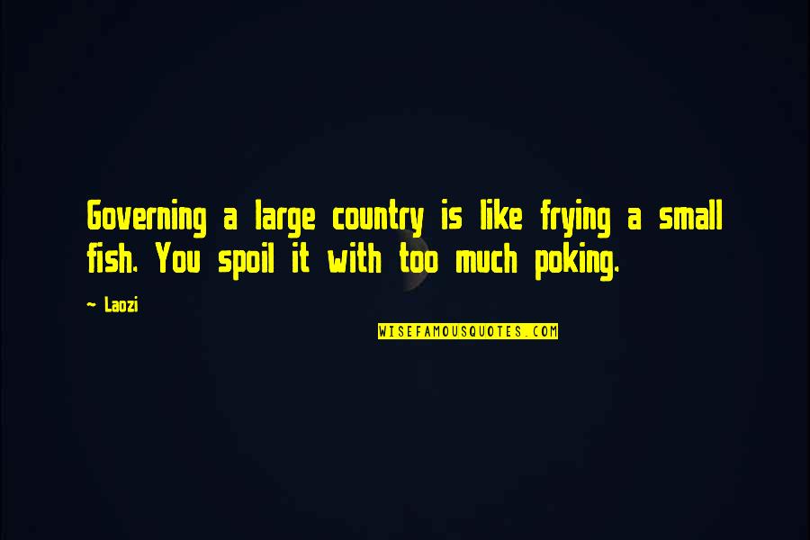 Governing Quotes By Laozi: Governing a large country is like frying a