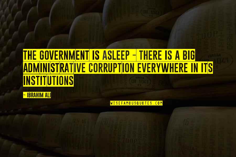 Government And Corruption Quotes By Ibrahim Ali: The government is asleep - there is a