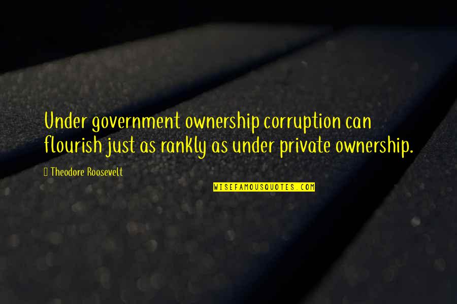 Government And Corruption Quotes By Theodore Roosevelt: Under government ownership corruption can flourish just as