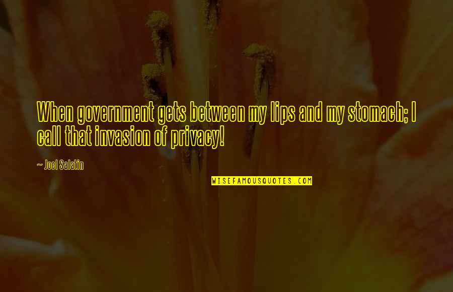 Government And Privacy Quotes By Joel Salatin: When government gets between my lips and my