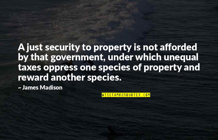 Government Is Quotes By James Madison: A just security to property is not afforded