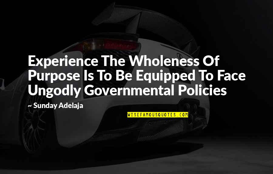 Government Policies Quotes By Sunday Adelaja: Experience The Wholeness Of Purpose Is To Be