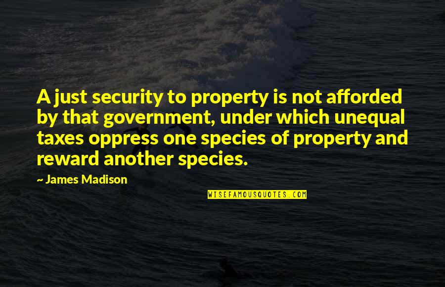 Government Taxation Quotes By James Madison: A just security to property is not afforded