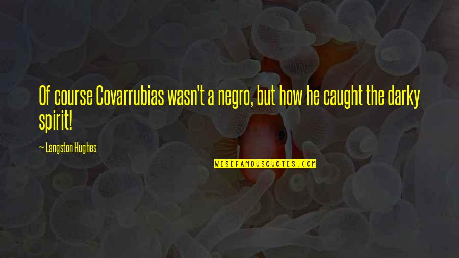 Govindaswamy V Quotes By Langston Hughes: Of course Covarrubias wasn't a negro, but how