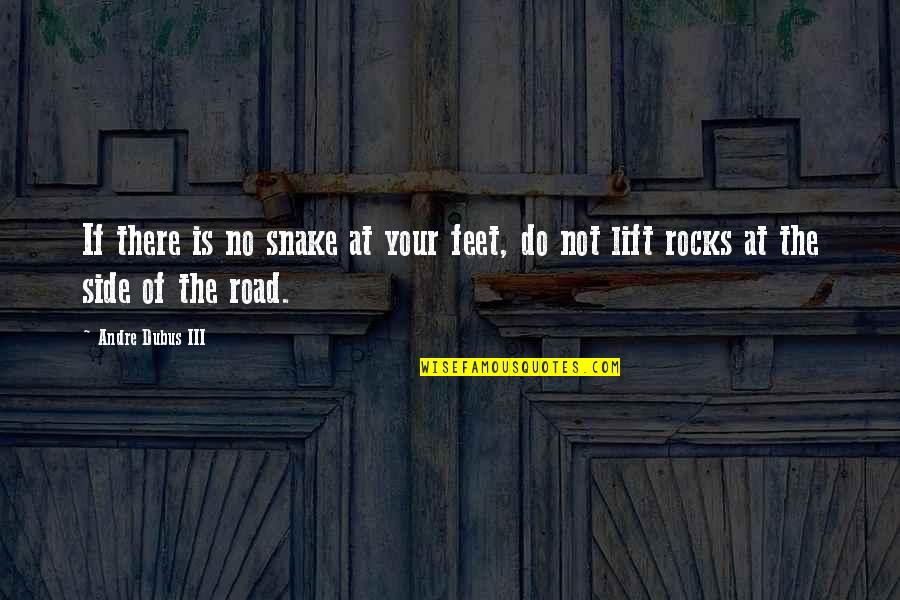 Gownless Quotes By Andre Dubus III: If there is no snake at your feet,
