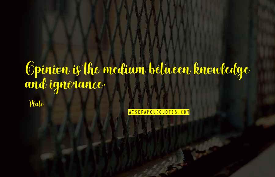 Gozasht Quotes By Plato: Opinion is the medium between knowledge and ignorance.