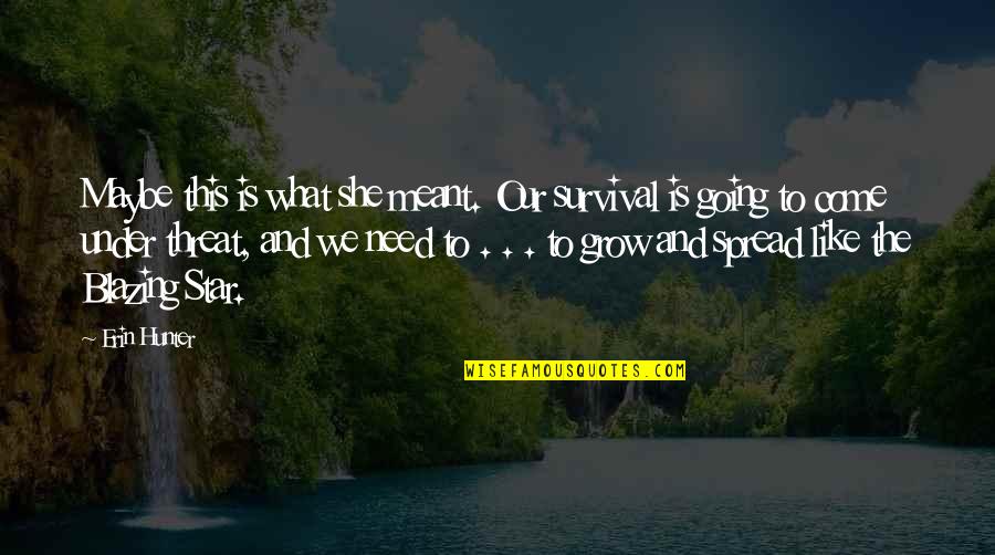 Graal Era Quotes By Erin Hunter: Maybe this is what she meant. Our survival