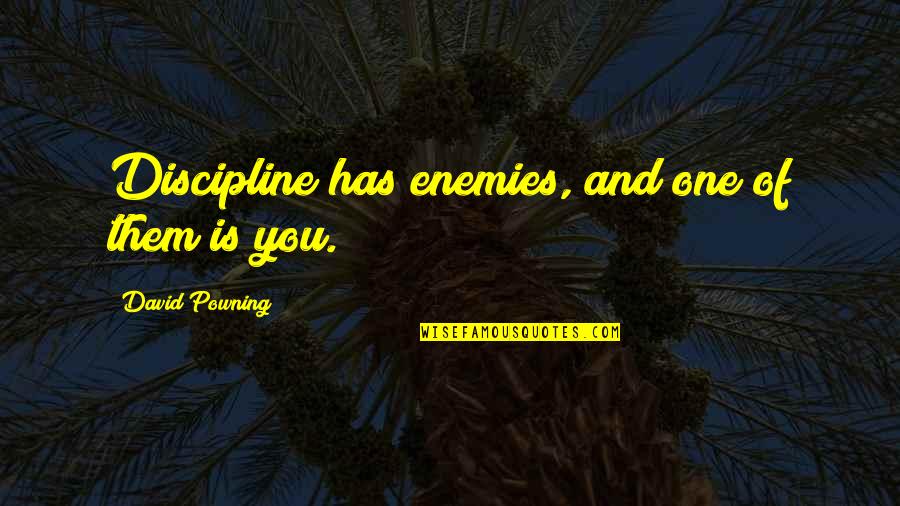 Grabbing An Opportunity Quotes By David Powning: Discipline has enemies, and one of them is