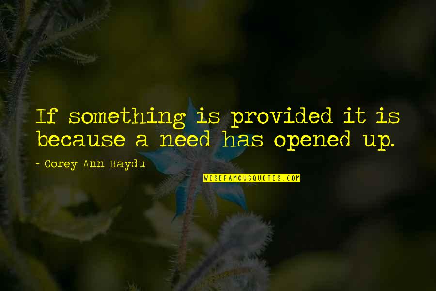 Grabeste Te Quotes By Corey Ann Haydu: If something is provided it is because a