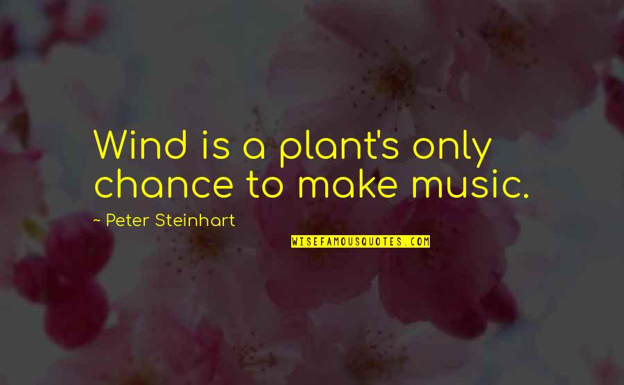 Grabowska Domagala Quotes By Peter Steinhart: Wind is a plant's only chance to make