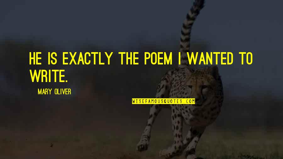 Grace And Courtesy Quotes By Mary Oliver: He is exactly the poem I wanted to Grace And Courtesy Quotes By Mary Oliver: He is exactly the poem I wanted to