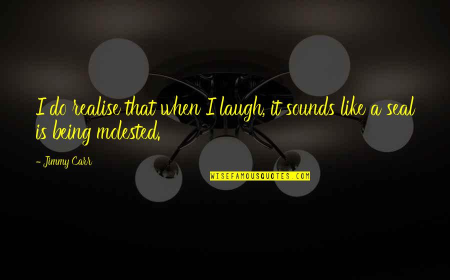 Grace And Grit Ken Wilber Quotes By Jimmy Carr: I do realise that when I laugh, it