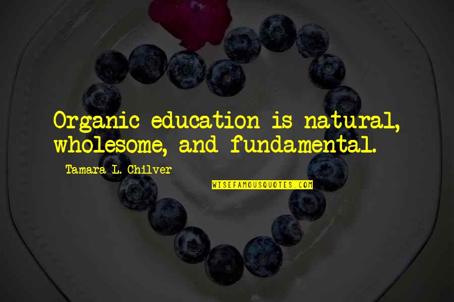 Grace Filled Homeschool Quotes By Tamara L. Chilver: Organic education is natural, wholesome, and fundamental.