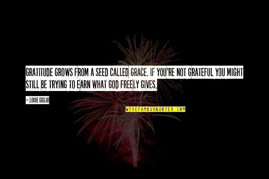 Grace From God Quotes By Louie Giglio: Gratitude grows from a seed called grace. If