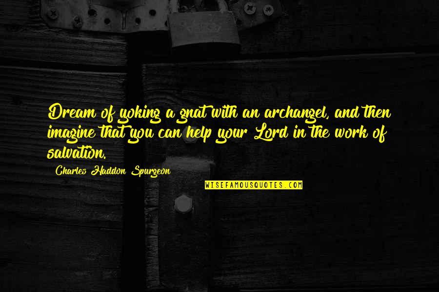 Grace In The Bible Quotes By Charles Haddon Spurgeon: Dream of yoking a gnat with an archangel,