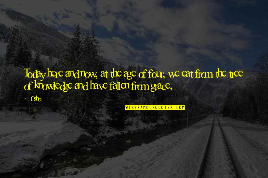 Grace Just For Today Quotes By Osho: Today here and now, at the age of