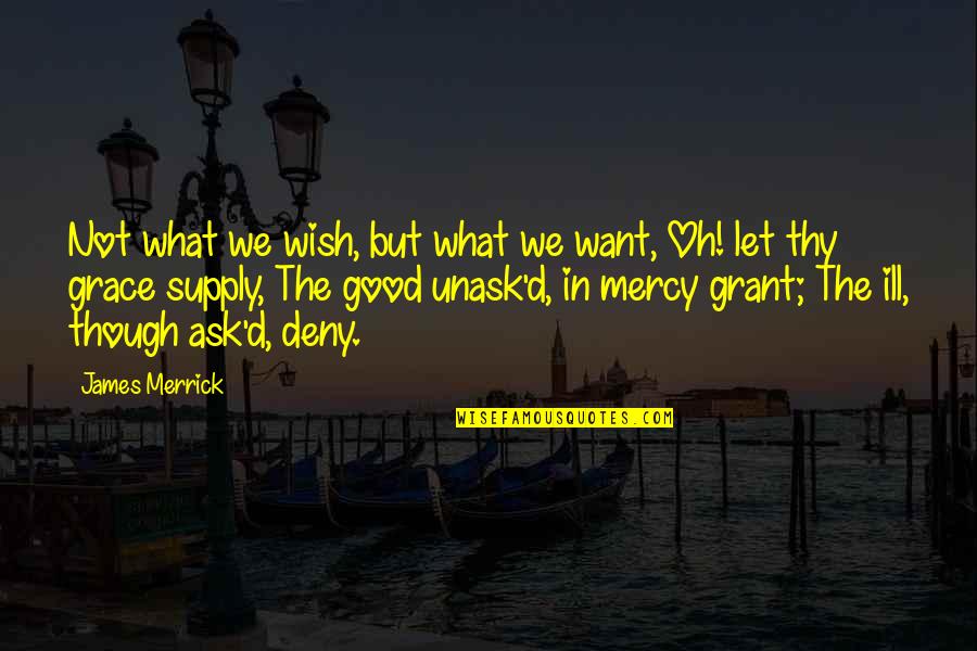 Grace Prayer Quotes By James Merrick: Not what we wish, but what we want,