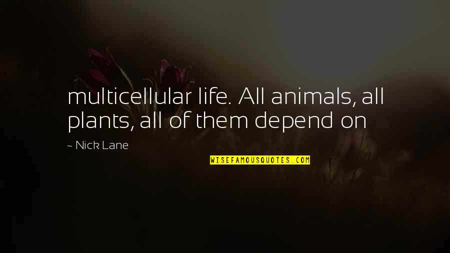 Graceful Ballerina Quotes By Nick Lane: multicellular life. All animals, all plants, all of