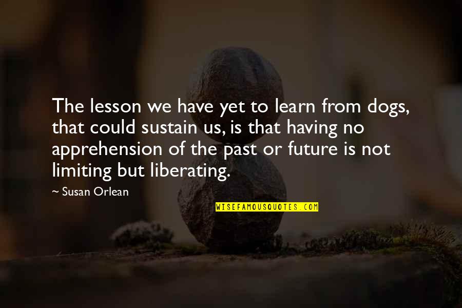 Graceful Dance Quotes By Susan Orlean: The lesson we have yet to learn from