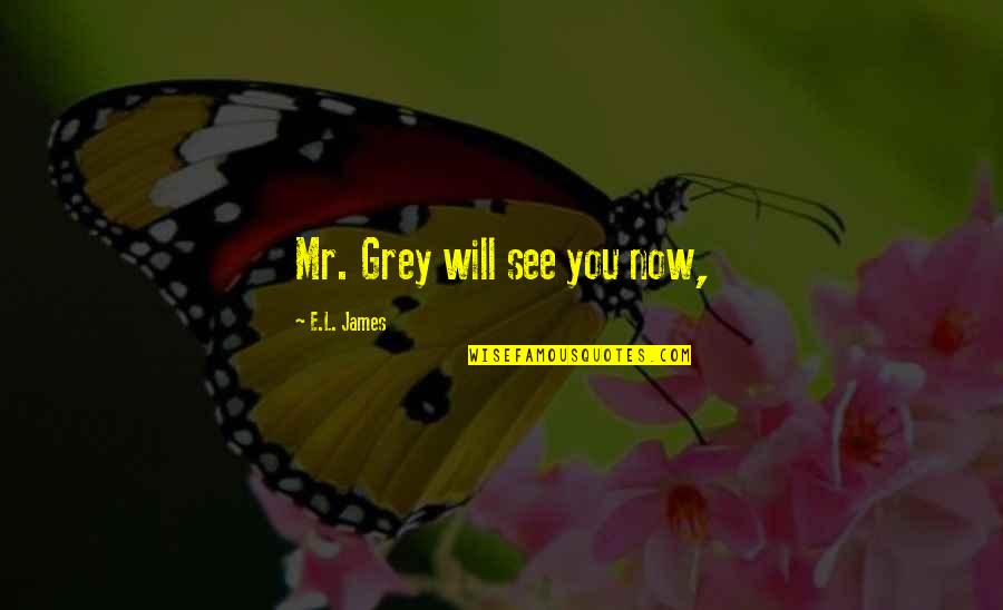 Gracefullest Quotes By E.L. James: Mr. Grey will see you now,