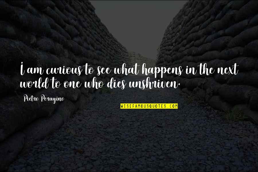 Gracieuse Translation Quotes By Pietro Perugino: I am curious to see what happens in