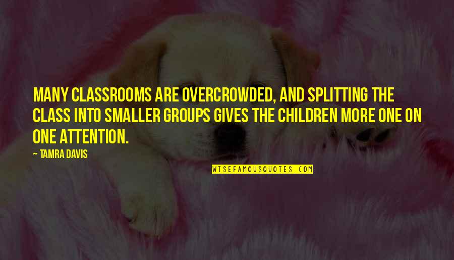 Gracieux Chevalier Quotes By Tamra Davis: Many classrooms are overcrowded, and splitting the class Gracieux Chevalier Quotes By Tamra Davis: Many classrooms are overcrowded, and splitting the class