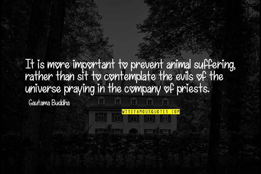 Gracieux Synonyme Quotes By Gautama Buddha: It is more important to prevent animal suffering, Gracieux Synonyme Quotes By Gautama Buddha: It is more important to prevent animal suffering,