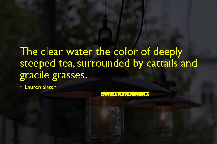 Gracile Quotes By Lauren Slater: The clear water the color of deeply steeped Gracile Quotes By Lauren Slater: The clear water the color of deeply steeped
