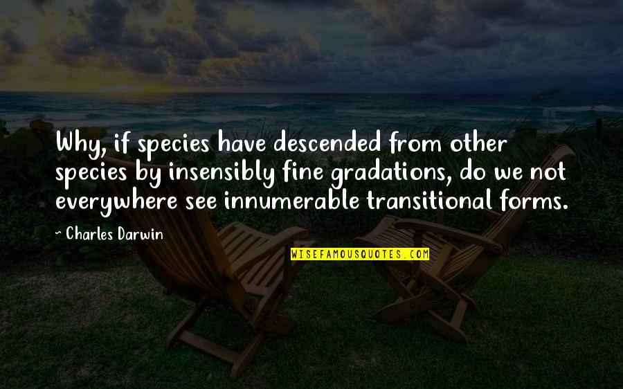 Gradations Quotes By Charles Darwin: Why, if species have descended from other species
