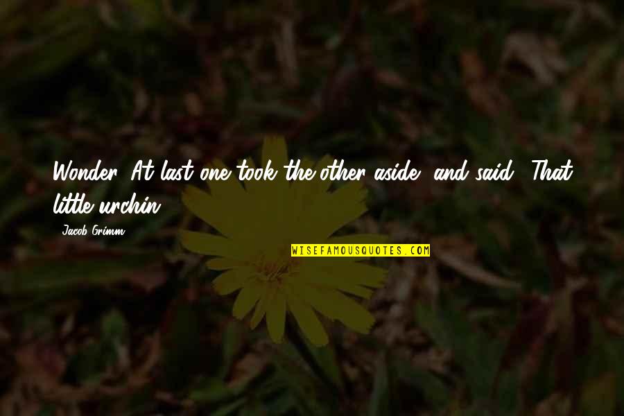 Graded Exercise Therapy Quotes By Jacob Grimm: Wonder. At last one took the other aside,