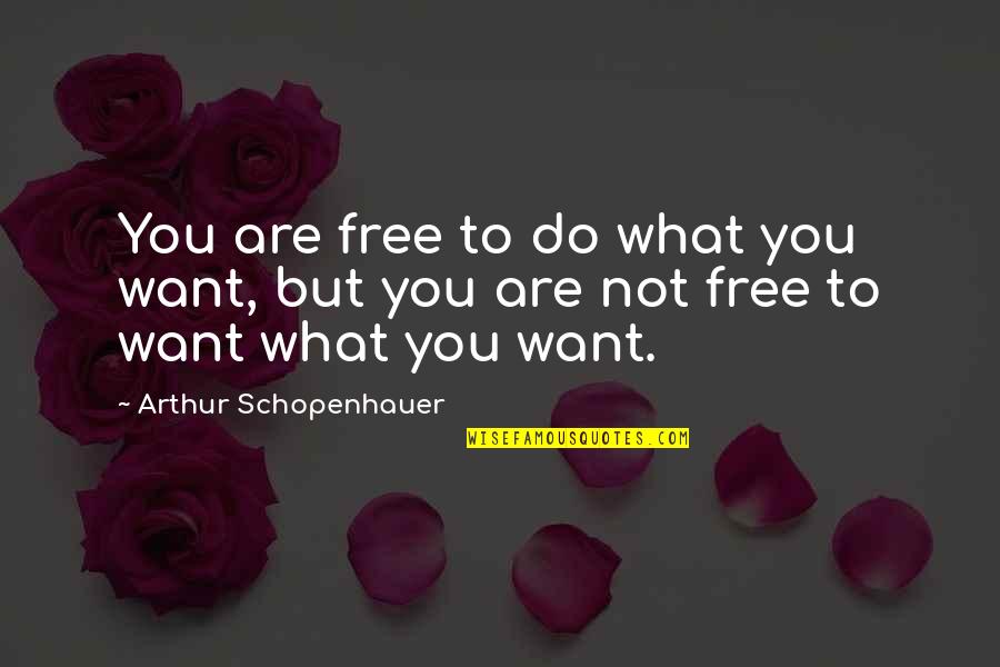 Gradimir Rankovic Quotes By Arthur Schopenhauer: You are free to do what you want,