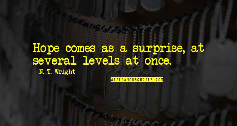 Graelalea Quotes By N. T. Wright: Hope comes as a surprise, at several levels