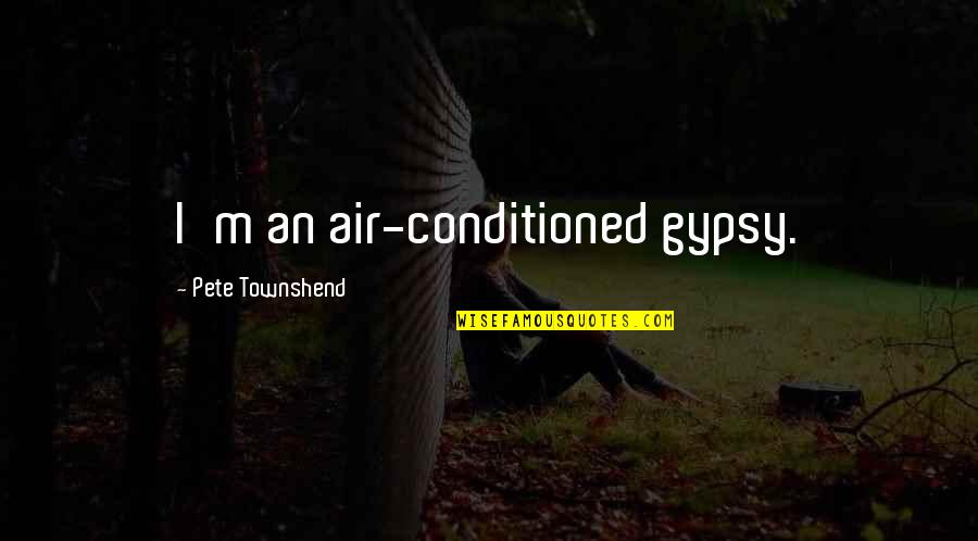 Grafschafter Zuckerruebenkraut Quotes By Pete Townshend: I'm an air-conditioned gypsy.
