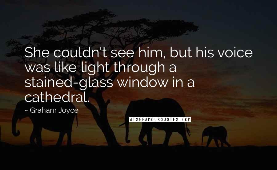 Graham Joyce quotes: She couldn't see him, but his voice was like light through a stained-glass window in a cathedral.