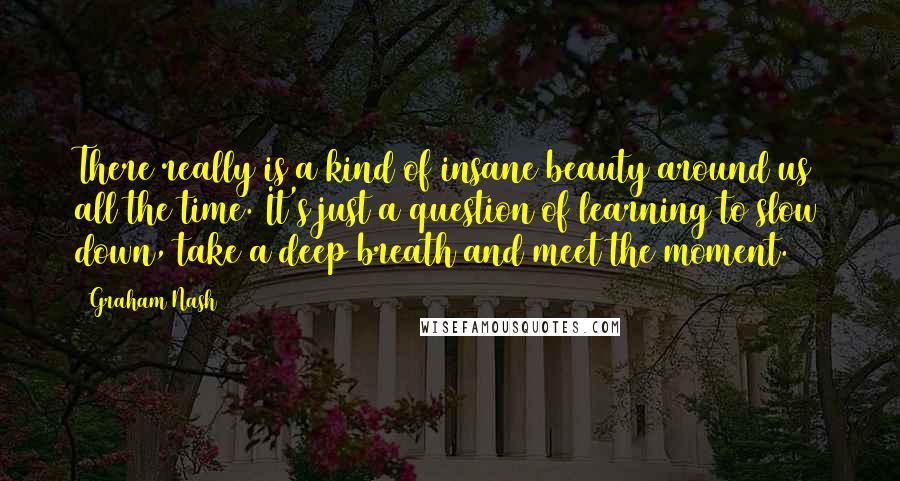 Graham Nash quotes: There really is a kind of insane beauty around us all the time. It's just a question of learning to slow down, take a deep breath and meet the moment.